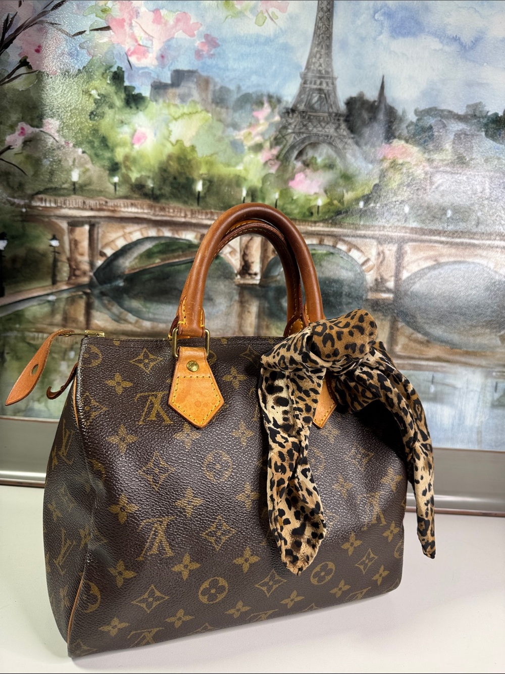 LOUIS VUITTON SPEEDY 25 - Picture 15 of 15